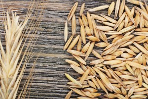 rye-grain-shutterstock.0