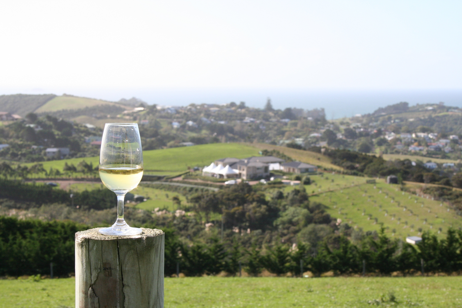 white-wine-with-a-view-1322142-1920x1280