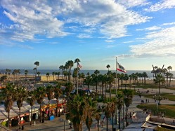 venice beach birds eye