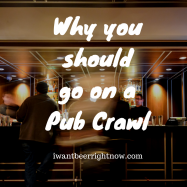 Why you should go to a Pub Crawl (2)